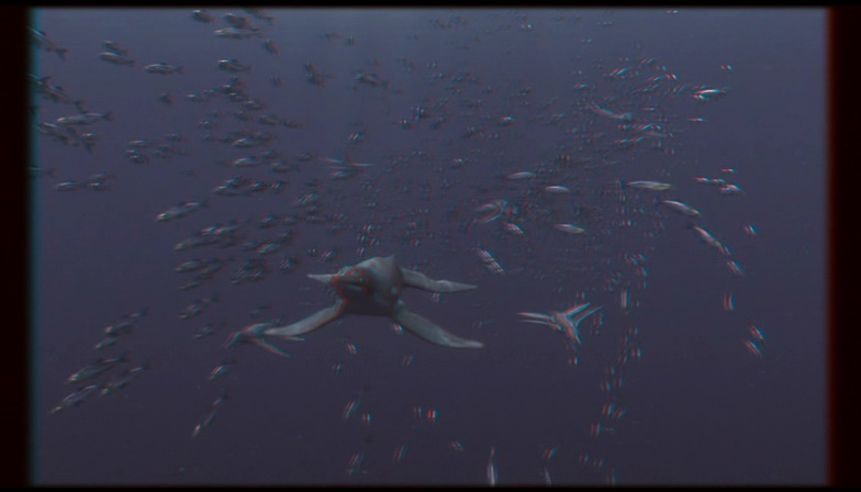 PDVD_011.jpg
