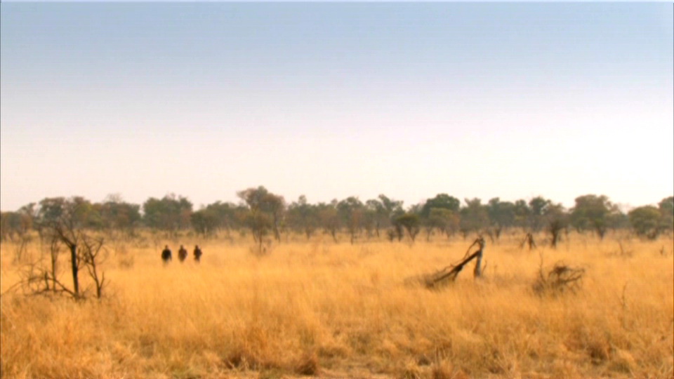 PDVD_006.jpg