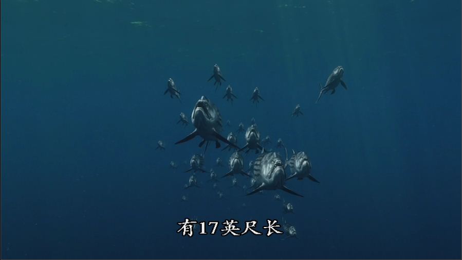 PDVD_001.JPG